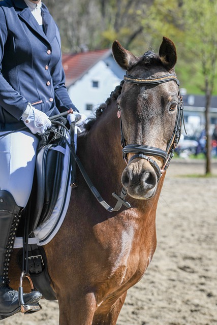 全球足球迷 全球足球迷