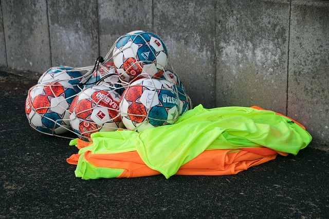 日本从校园 日本从校园