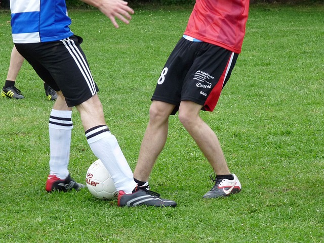 塞尔塔与奥 塞尔塔与奥